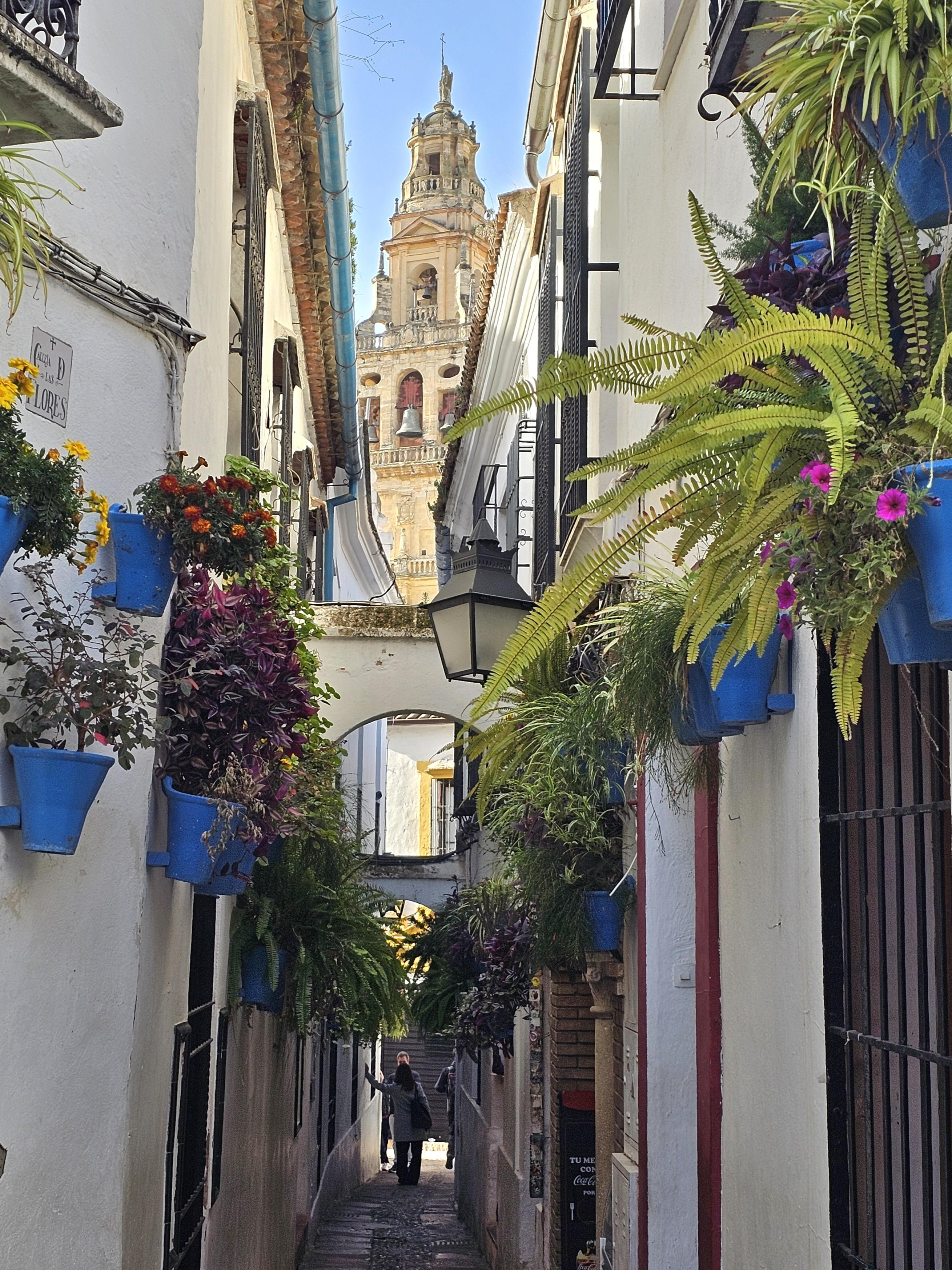 S_Spain